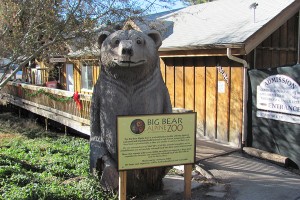 big-bear-alpine-zoo-at-moonridge